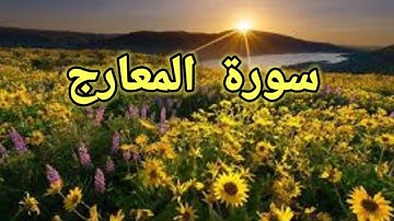 سورة  المعارج:💚تلأوة هادئ تريح الأعصاب💚سبحان من رزقه هذا الصوت 🎧💚