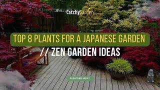 Top 8 Plants for a Japanese Garden // Zen Garden Ideas