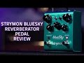 Strymon bluesky reverberator pedal review