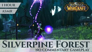 Vanilla Silverpine Forest - Gameplay No Commentary, ASMR (1 hour, 4K, World of Warcraft Classic)
