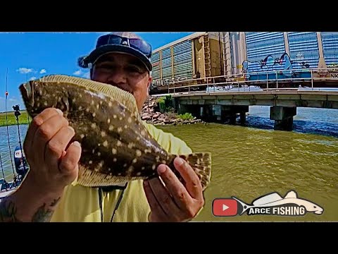 Fishing Highlands bayou, I haven’t fished here in a long time.