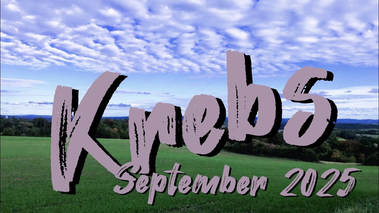 Krebs ♋️ September 25 • Die Liebe klopft an, wenn man sie nicht sucht 