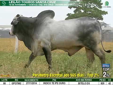 LOTE 080