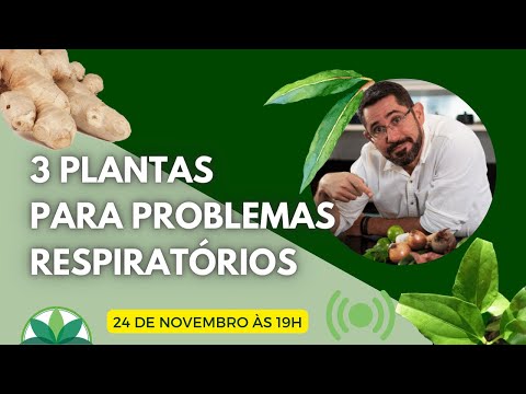 Vídeo: Planta Self Heal: Aprenda sobre a planta Prunella Vulgaris