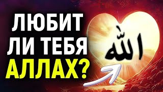 3 Признака Того, Что Аллах Любит Тебя!  #Islam #Ислам #Allah #Islamic #Мусульмане #Хадис #Коран