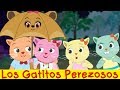 Los Gatitos Perezosos (The Lazy Kittens) | Programa Comedia De Dibujos Animados | ChuChu TV Cutians