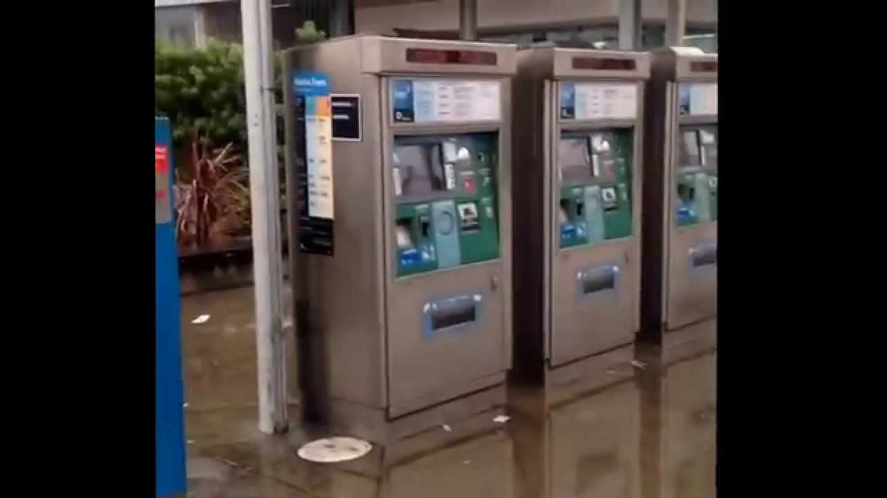 DeadEndEnt Corn Dezzy