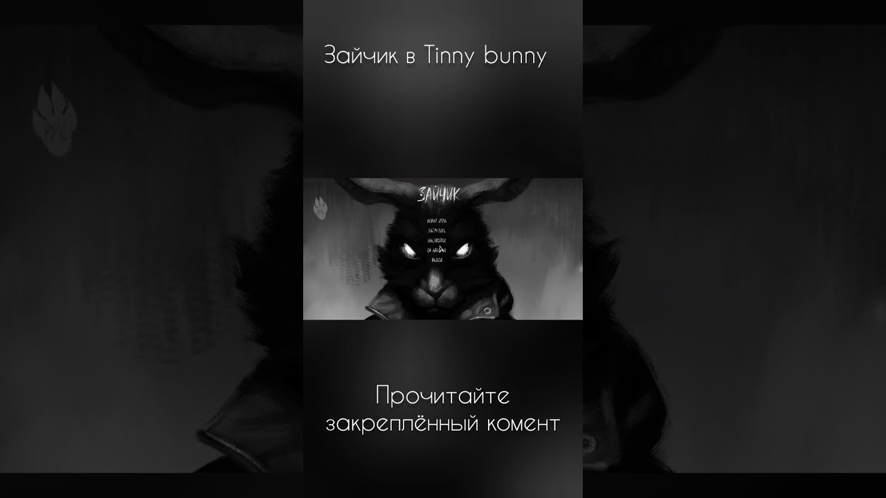 Мой Tinny Bunny в Покет Код