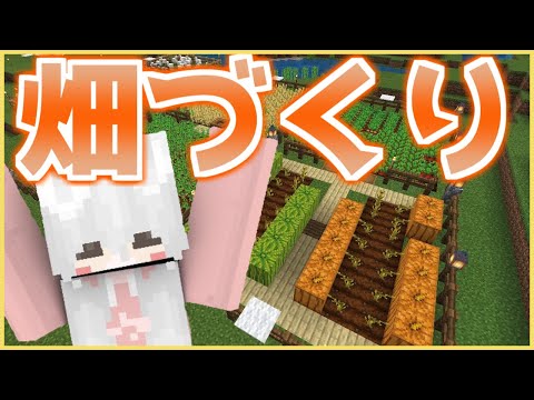 【マインクラフト】#11 かぼちゃスイカ植え＆畑をきれいに！
