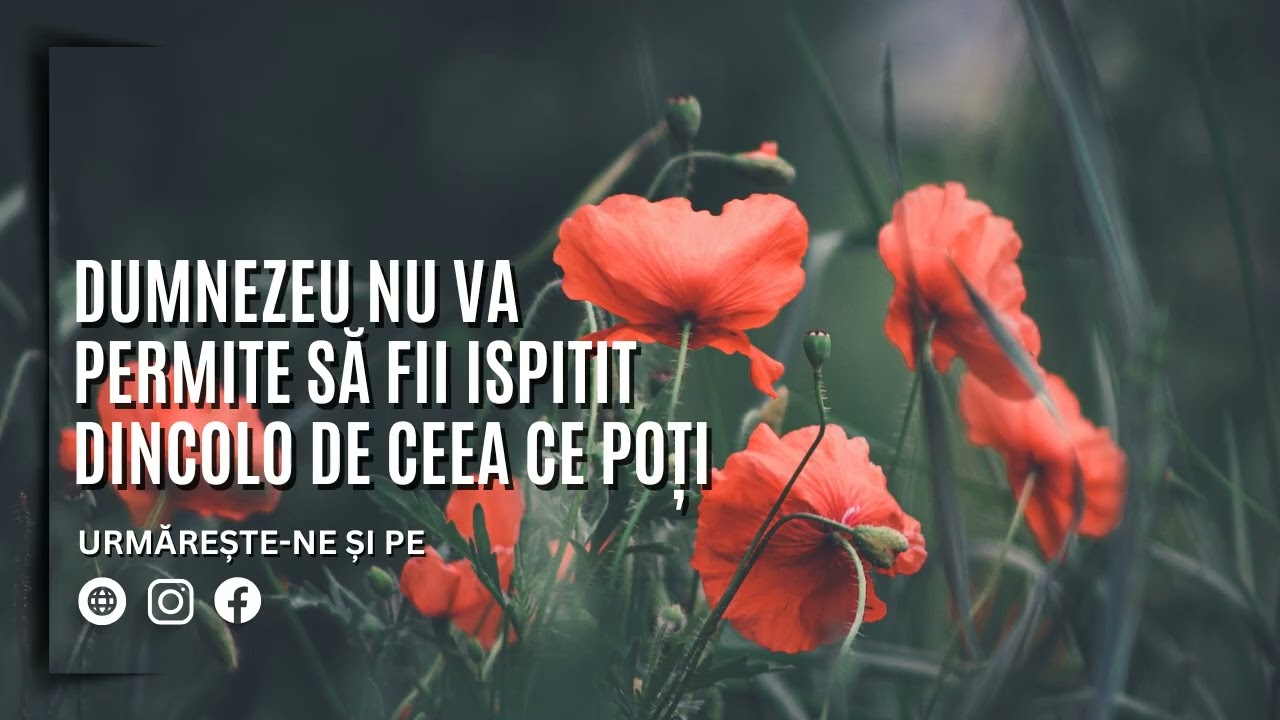 Dumnezeu nu va permite să fii ispitit dincolo de ceea ce poți | Un miracol pe zi
