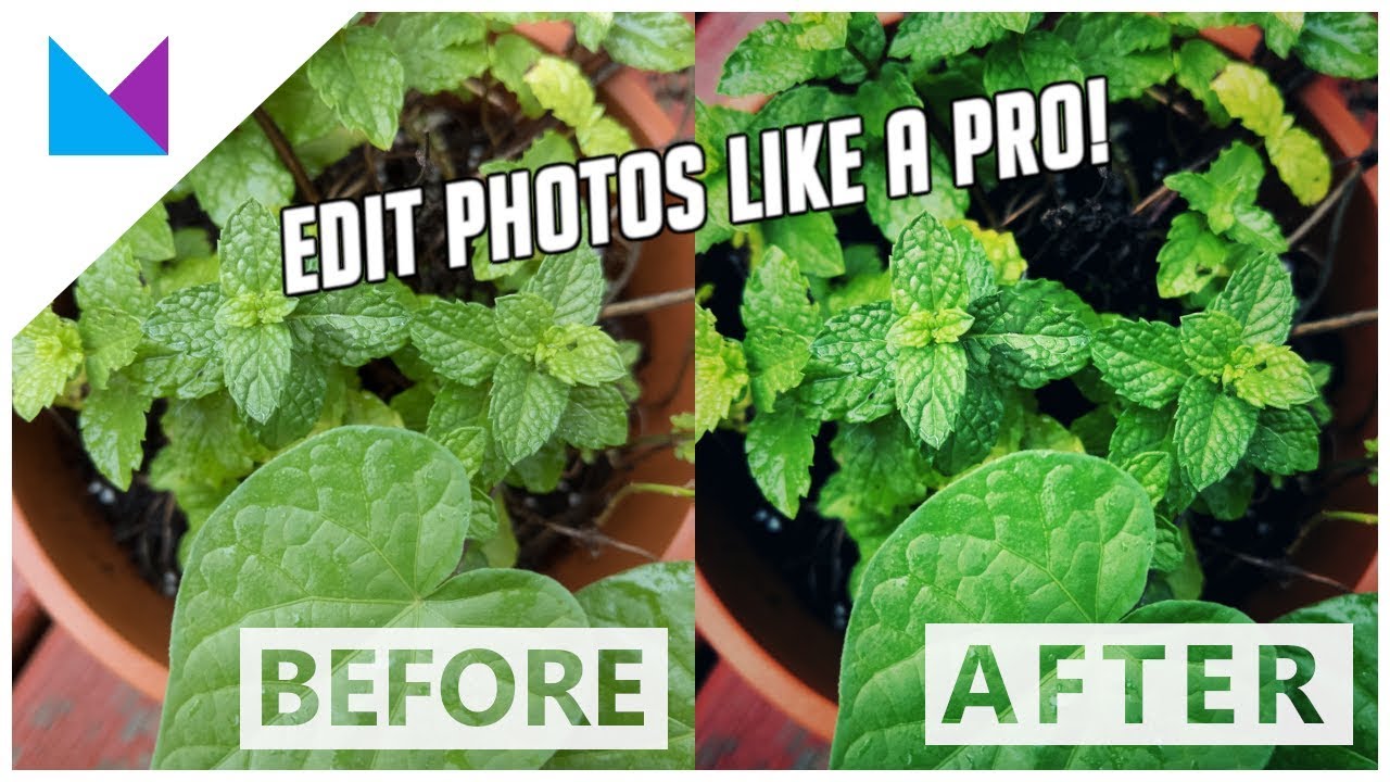 How To Edit Photos Using Snapseed