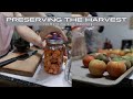 Working to preserve the harvest on the Homestead
