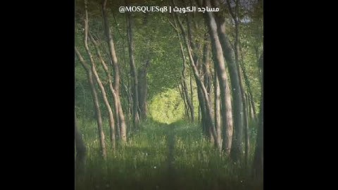 يدعون فيها بكل فاكهة امنين (للقارئ ادريس أبكر) 🌧🌴