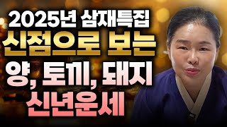 ✨미리보는 2025년 삼재특집✨ 복삼재띠는 어떤 띠가 있을까? 토끼띠 양띠 돼지띠 분들은 꼭 미리 알고 대운…