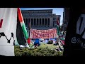 Pro-Palestine protests on US campuses ‘rehashing’ Jihadi propaganda