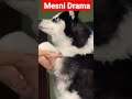 Mesni Drama Best Scen Drma Shot