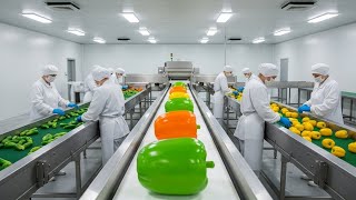Inside the Frozen Vegetable Factory – From Farm to Cold Storage (Full Process)