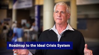 The Ideal Crisis System