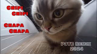 Chipi Chipi Chapa Chapa (P3TE 2024 Remix)