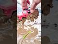 Mud 𝚘𝚏𝚏-𝚛𝚘𝚊𝚍 drifting fall Mercedes Benz GWagon 𝚁𝚎𝚍 𝙱𝚕𝚊𝚌𝚔 𝙿𝚛𝚘 SUV power test #𝚌𝚊𝚛𝚜𝚝𝚞𝚗𝚝𝚜 #𝚊𝚞𝚝𝚘𝚖𝚘𝚋𝚒𝚕𝚎