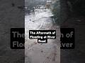 Aftermath of River Road Flooding: Shocking Scenes of Devastation 🌊 #flooring #shorts