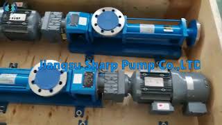 seepex type BN5-6L pump