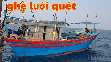 Fishing Trải nghiệm đi nghề lưới quét Nghệ An. Đánh bắt được mực tuộc cá mú cá chai cá mèo #dânbiển