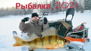 ЗИМНЯЯ РЫБАЛКА 2021! ЛОВЛЮ ОКУНЯ НА БЛЕСНУ / СМ-002 - САМОДЕЛЬНЫЙ СНЕГОХОД. РЕСПУБЛИКА КОМИ.