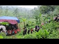 Bidadari kampung terpencil pernikahan nya penuh perjuangan