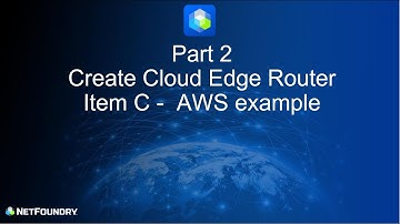 Getting Started with NetFoundry Part 2
