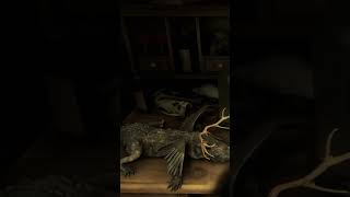 САМОЕ СТРАШНОЕ МЕСТО В RDR2 #shorts