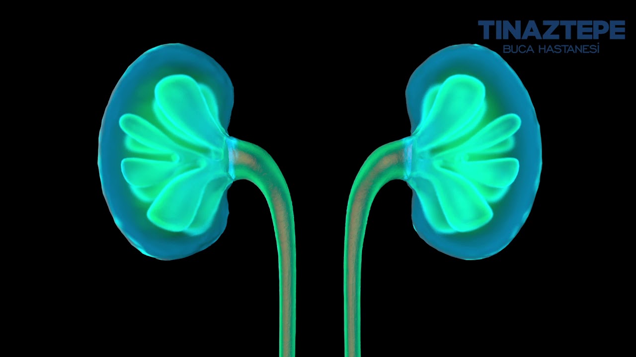 Nefroloji-Doç. Dr. İsmail Rıfkı Ersoy