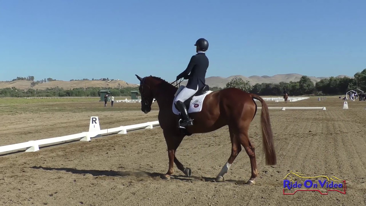 horseshoe bend 049D Shannon Lilley on Greenfort Carnival intermediate Dressage Twin Rivers Ranch Sept. 2019