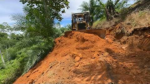 CAT D6R XL Bulldozer Operator Opens Forest Road in Record Time!
