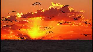 Grup Gündoğarken - Gündoğarken