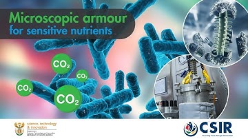 Microscopic armour for sensitive nutrients - supercritical CO2 microencapsulation tech now at CSIR