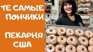 Как делают настоящие пончики (ДОНАТСЫ) Пекарня с 1955 года  Kane's Donuts in Saugus