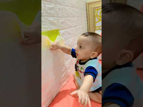 فريد انا ابوظ انت تدفع