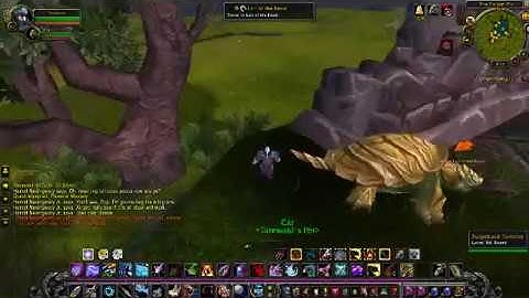 Dugi Guides Review | Dugi World Of Warcraft Guides