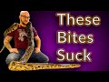 Top 5 Reptiles You DON'T Want To Get Bit By