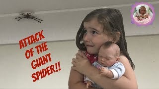 Download Lagu ATTACK OF THE GIANT SPIDER!! MP3