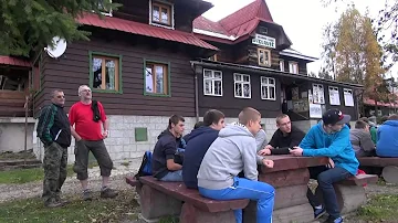 Jaké jsou larvy kopřivky?