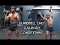 ULTIMATE FULL BODY DUMBBELL ONLY CONDITIONING | Beginners and Advanced