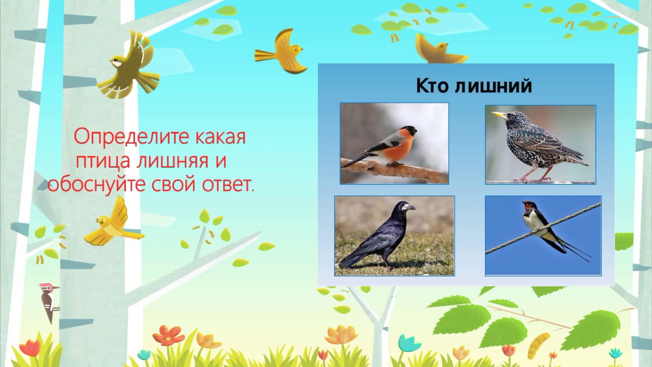 Птицы весной сочинение. Как птицы весну встречают. Встречаем птиц весной. Птицы встречают весну. Весенние птички в Крыму.