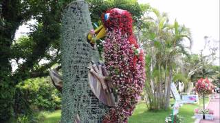 沖縄観光　海洋博公園　熱帯・亜熱帯都市緑化植物園