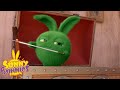 SUNNY BUNNIES - Hopper's Magician Tricks | Season 3 | Cartoons for Children