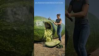 🥒 Wait… She Turned a GIANT cucumber into a luxury room 😳 #satisfying #asmr #renovation #shorts