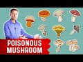 The Most Deadly Mushroom and it&#39;s Antidote