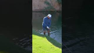 Golfer WADES into FREEZING water for CRAZY golf shot! #shorts