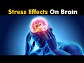 Stress Side Effects On Brain | How Stress is Dangerous For Us? (Urdu/Hindi)